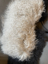 Charger l&#39;image dans la galerie, Coussin RECTANGULAIRE en mouton tibétain déhoussable Beige